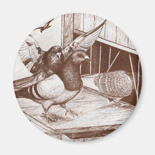 Imã Homens em Chamada