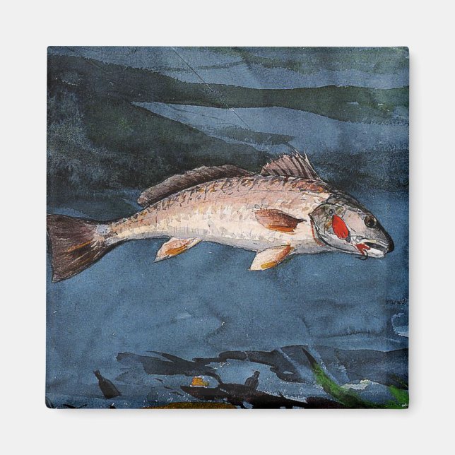 Imã Homer - Channel Bass, Flórida, (Frente)