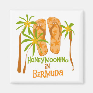 Imã Honeymooning no ímã de Bermuda