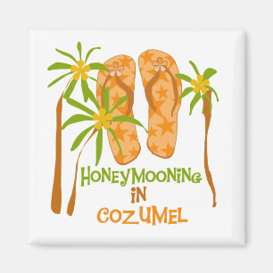 Imã Honeymooning no ímã de Cozumel