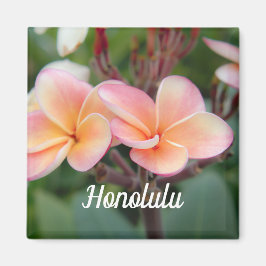 Imã Honolulu Plumeria Magnet