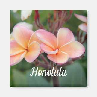 Imã Honolulu Plumeria Magnet