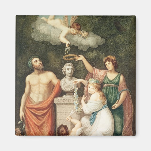 Imã Honrando o busto de Lineu (Frente)