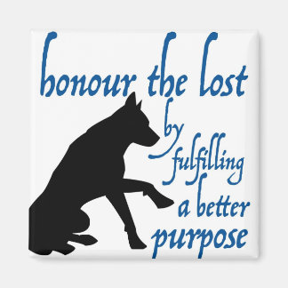 Imã honrar o perdido