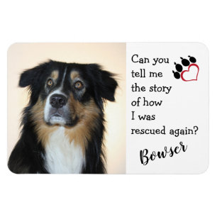 Ímã Honrar Seu Cão De Salvamento