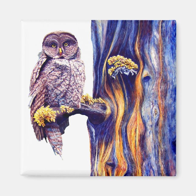 Imã Hoo's look'n Magnet (Frente)