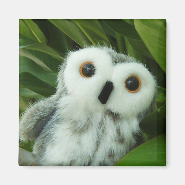 Imã Hoot! (Frente)