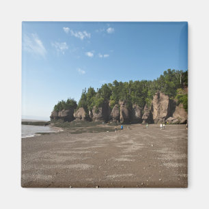 Imã Hopewell Rocks e o Ocean Tidal Exploration