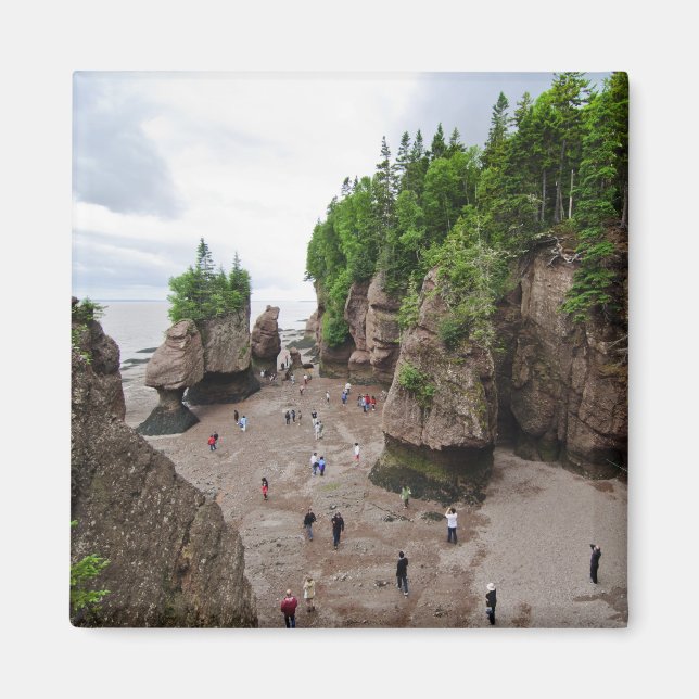 Imã Hopewell Rocks Low Tide Canada Magnet (Frente)