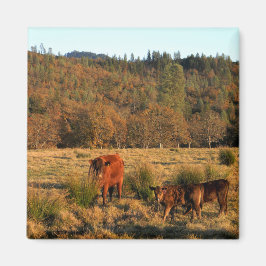 Imã Hora da Família.......