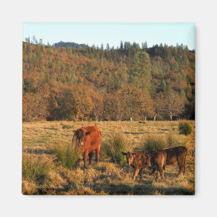 Imã Hora da Família.......