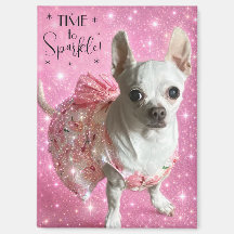 Hora de brilhar chihuahua fofo em vestido