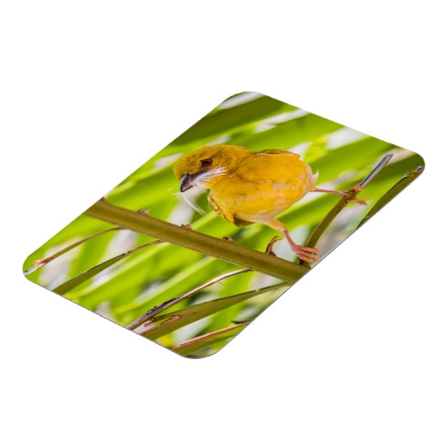 Ímã Hora de construir o ninho (Left Side)