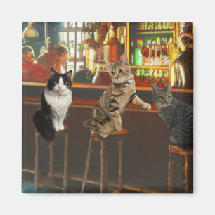 Imã Hora de Gato Feliz