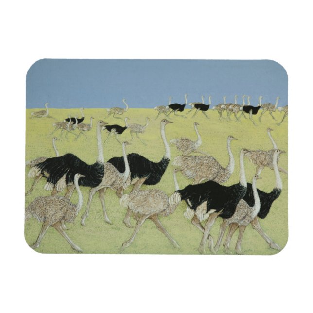 Ímã Hora de ponta 2 (Horizontal)