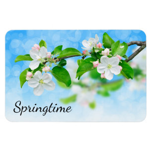 Ímã Horário de primavera (flores de maçã)