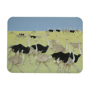 Ímã Horas de ponta 2