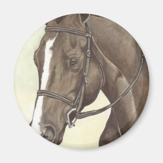 Imã HORSE Champion Apêndice QH Mare