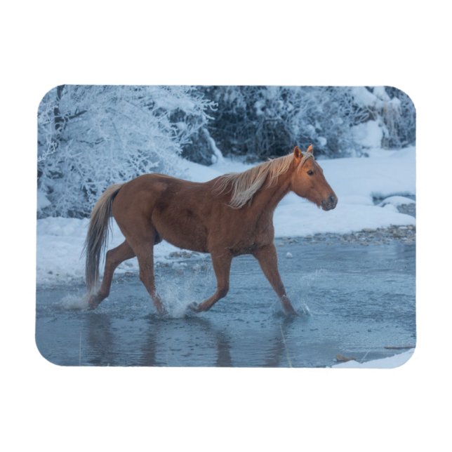 Ímã Horse Drive no inverno em Hideout Ranc (Horizontal)