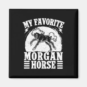 Imã Horseback Andando Favorito Cavalo Morgan Rider
