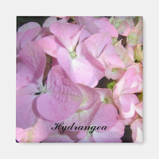Imã Hortênsias Rosa Bebê
