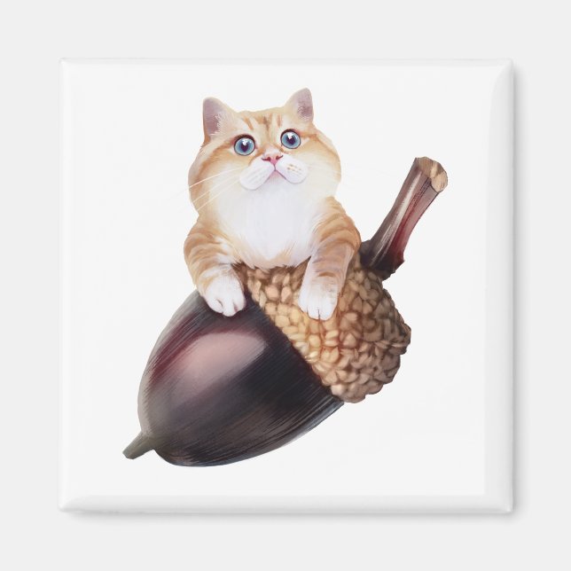 Imã Hosico Epifania (Frente)