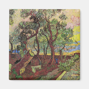 Imã Hospital e Jardim de São Paulo de Vincent van Gogh