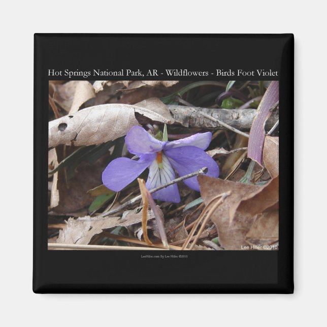 Imã Hot Springs National Park, AR Presentes Violetas S (Frente)