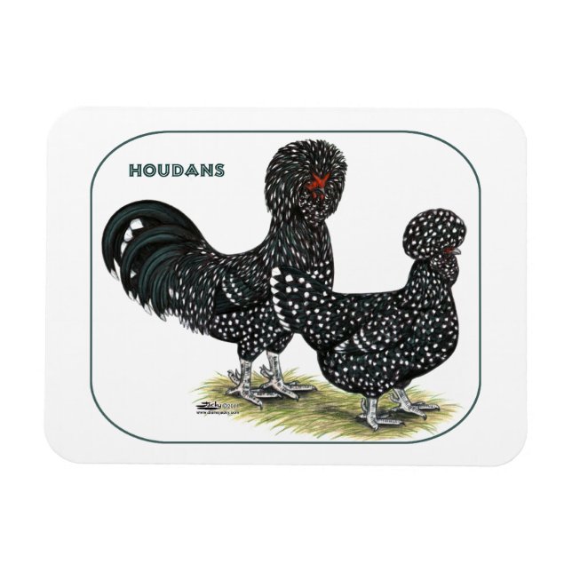 Ímã Houdan Chickens (Horizontal)