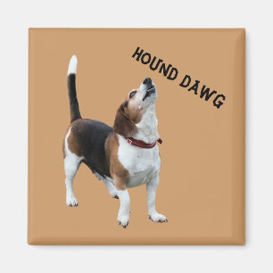 Imã Hound Dawg Beagle Engraçado Magnet