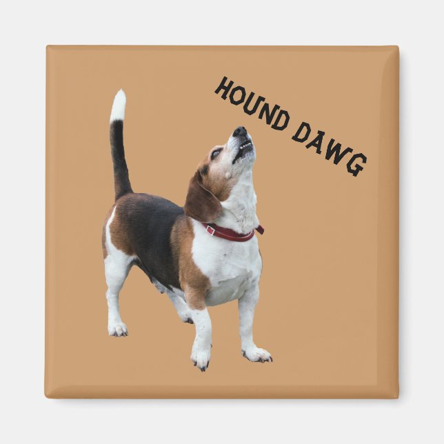 Imã Hound Dawg Beagle Engraçado Magnet (Frente)