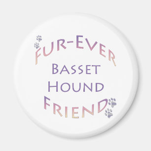 Imã Hound Futher Basset