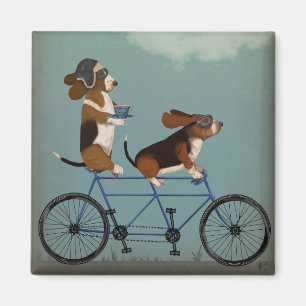 Imã Hound Tandem