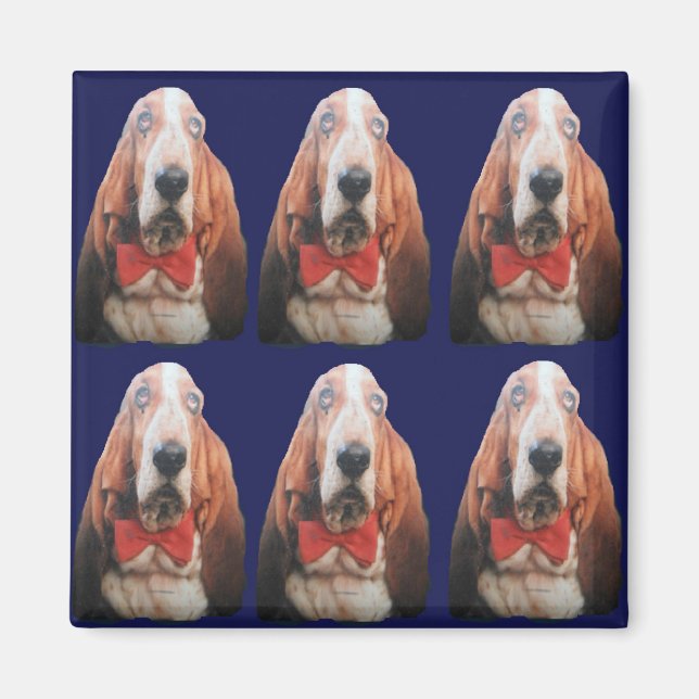 Imã Hounds da Base do Magnet (Frente)
