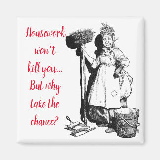 Imã "House-work won't kill you" 