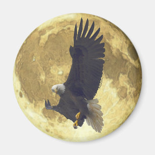 Imã Hovering BALD EAGLE & FULL MOON Wildlife Magnet