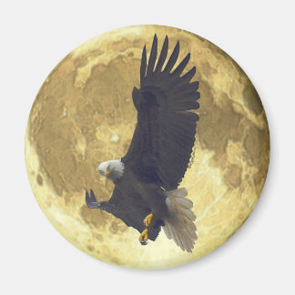 Imã Hovering BALD EAGLE & FULL MOON Wildlife Magnet