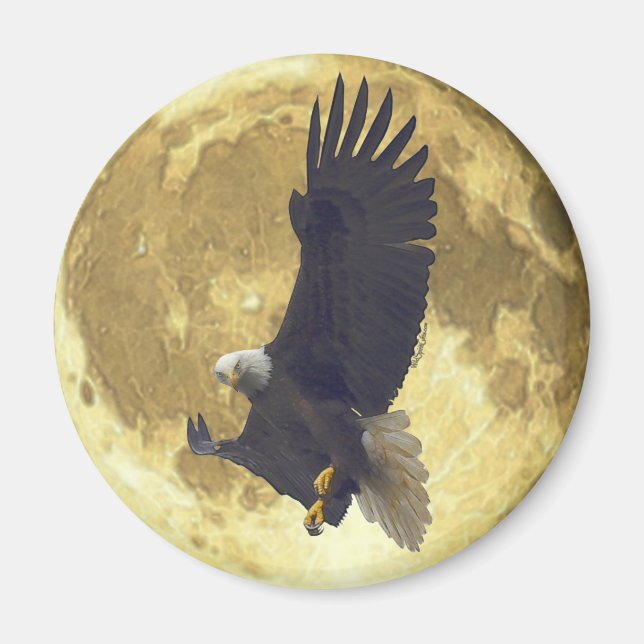 Imã Hovering BALD EAGLE & FULL MOON Wildlife Magnet (Frente)