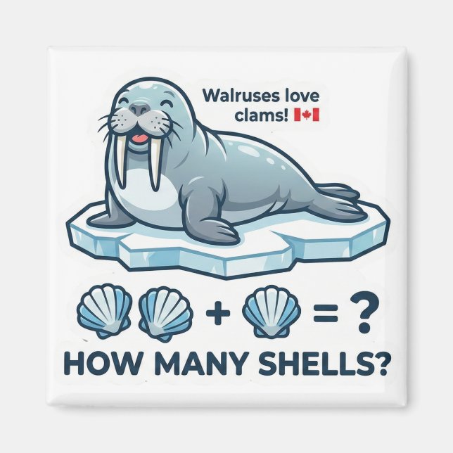 Imã How Many Shells? – Walrus Math Learning Magnet (Frente)