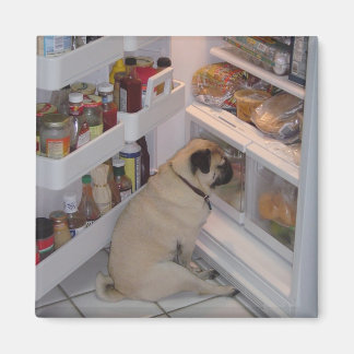 Imã Howie Pee Pugcalças