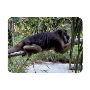 Ímã Howler Monkey Hangout