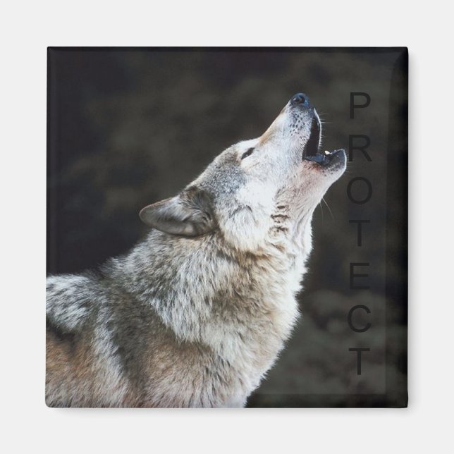 Imã Howling Wolf (Frente)