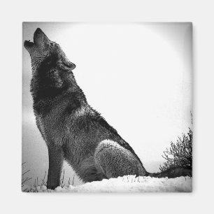 Imã Howling Wolf in Snow