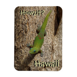Ímã Howzit Hawaii gecko - íman tropical