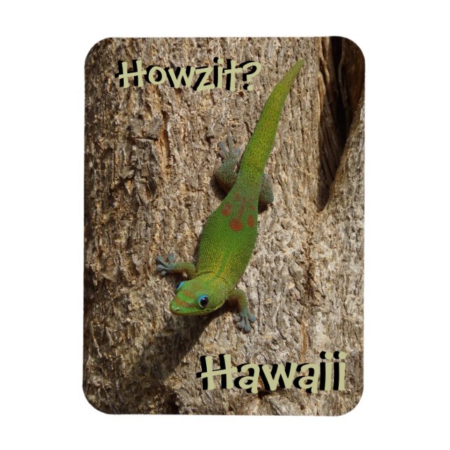 Ímã Howzit Hawaii gecko - íman tropical (Vertical)