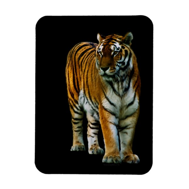 Ímã Hu Lin Premium Magnet (Vertical)