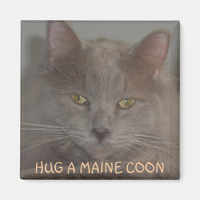 IMÃ HUG A MAINE COON (Frente)