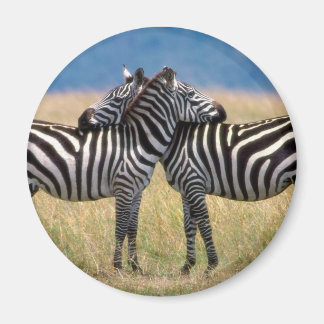 Imã Hugging Zebras Magnet