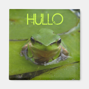 IMÃ HULLO