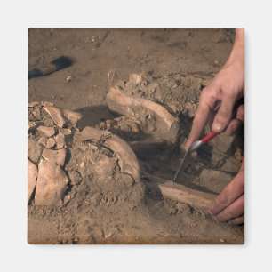 Imã Humano permanece